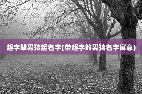 超字辈男孩起名字(带超字的男孩名字寓意)