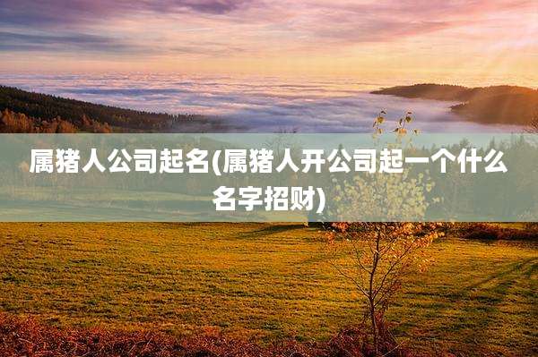 属猪人公司起名(属猪人开公司起一个什么名字招财)