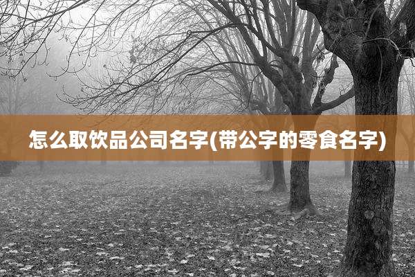 怎么取饮品公司名字(带公字的零食名字)