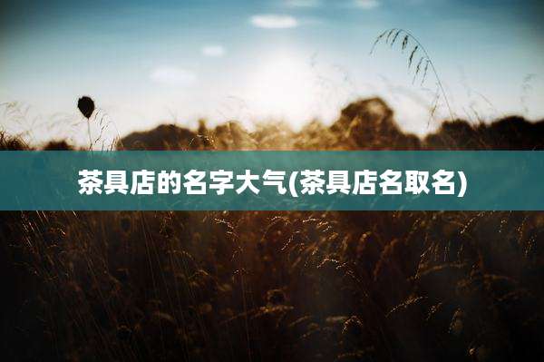 茶具店的名字大气(茶具店名取名)