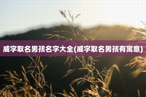 威字取名男孩名字大全(威字取名男孩有寓意)