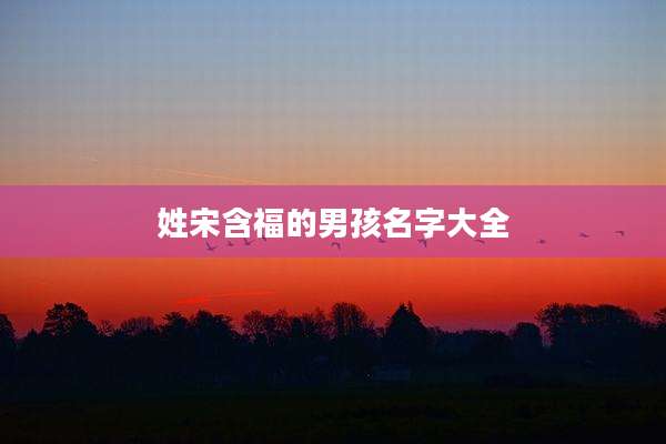 姓宋含福的男孩名字大全