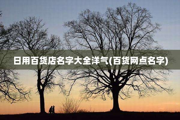 日用百货店名字大全洋气(百货网点名字)