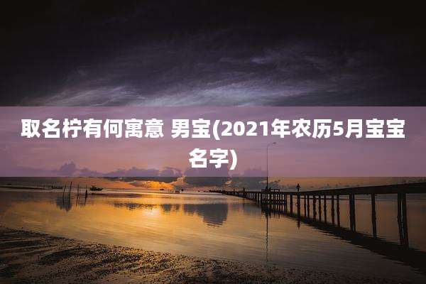 取名柠有何寓意 男宝(2021年农历5月宝宝名字)
