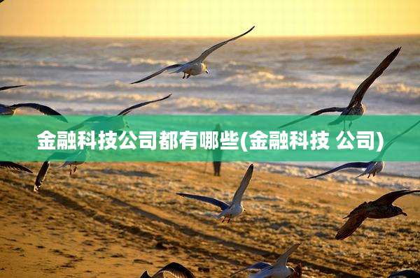 金融科技公司都有哪些(金融科技 公司)