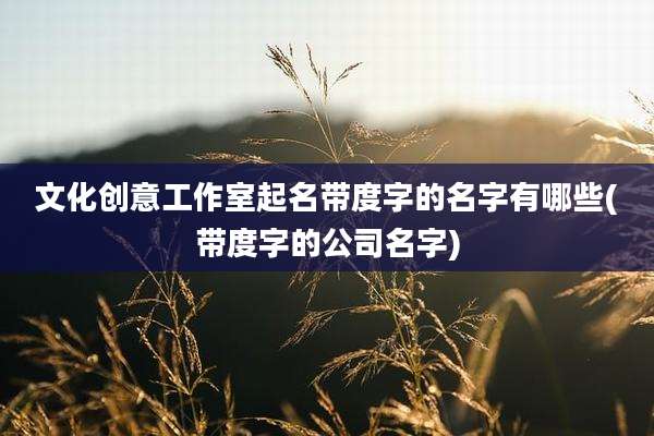 文化创意工作室起名带度字的名字有哪些(带度字的公司名字)