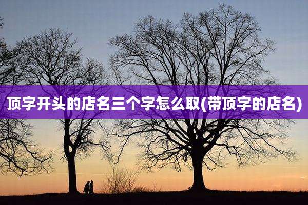 顶字开头的店名三个字怎么取(带顶字的店名)