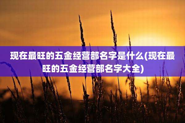 现在最旺的五金经营部名字是什么(现在最旺的五金经营部名字大全)