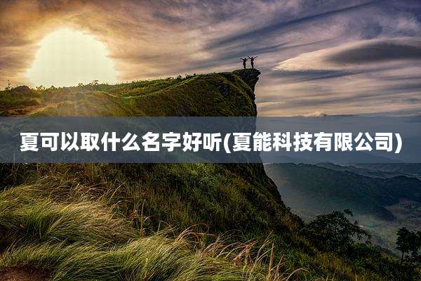 夏可以取什么名字好听(夏能科技有限公司)