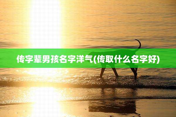 传字辈男孩名字洋气(传取什么名字好)