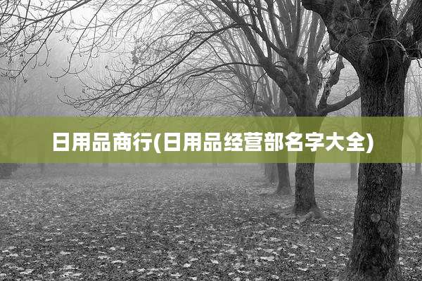 日用品商行(日用品经营部名字大全)