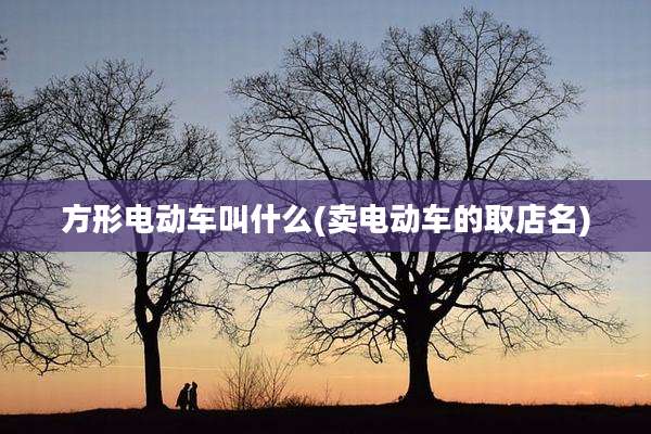 方形电动车叫什么(卖电动车的取店名)