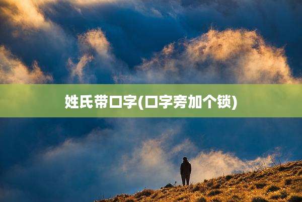 姓氏带口字(口字旁加个锁)