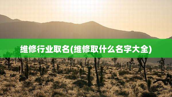 维修行业取名(维修取什么名字大全)