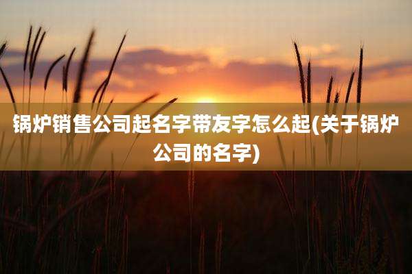 锅炉销售公司起名字带友字怎么起(关于锅炉公司的名字)