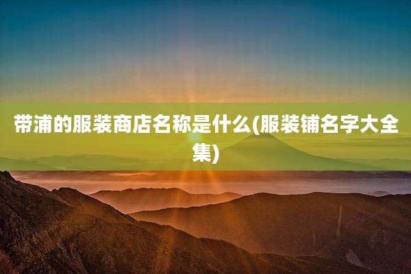 带浦的服装商店名称是什么(服装铺名字大全集)
