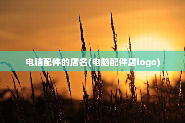 电脑配件的店名(电脑配件店logo)