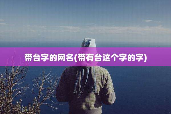 带台字的网名(带有台这个字的字)