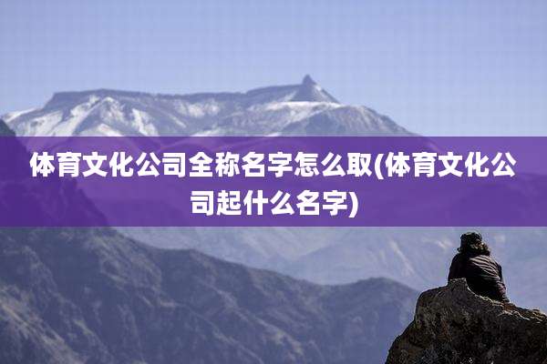 体育文化公司全称名字怎么取(体育文化公司起什么名字)