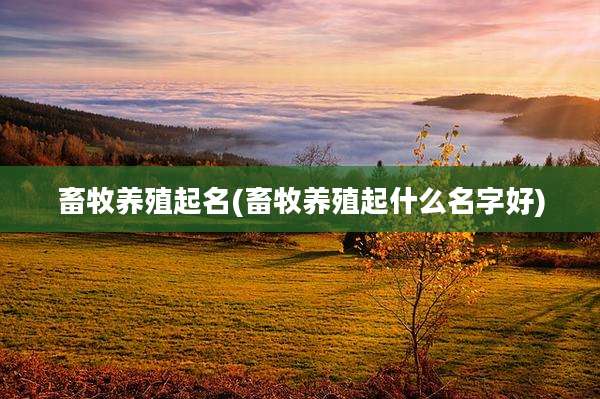 畜牧养殖起名(畜牧养殖起什么名字好)