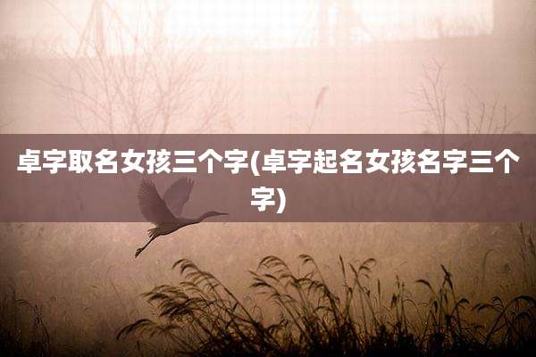 卓字取名女孩三个字(卓字起名女孩名字三个字)