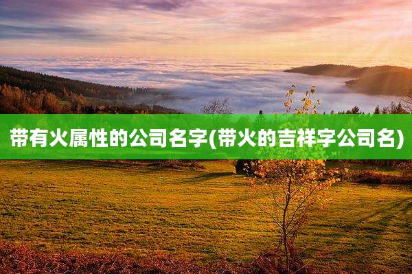 带有火属性的公司名字(带火的吉祥字公司名)