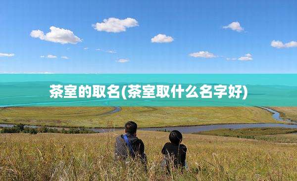 茶室的取名(茶室取什么名字好)