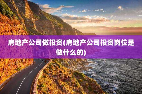 房地产公司做投资(房地产公司投资岗位是做什么的)