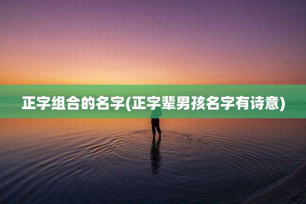 正字组合的名字(正字辈男孩名字有诗意)