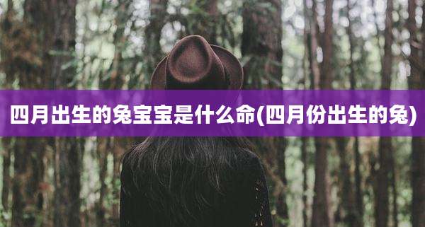 四月出生的兔宝宝是什么命(四月份出生的兔)