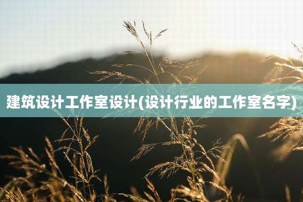 建筑设计工作室设计(设计行业的工作室名字)