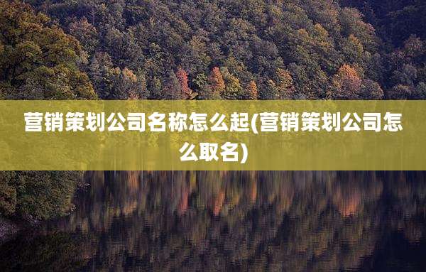 营销策划公司名称怎么起(营销策划公司怎么取名)