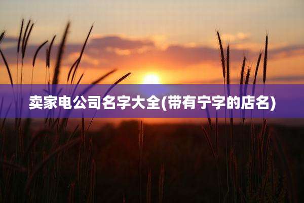 卖家电公司名字大全(带有宁字的店名)