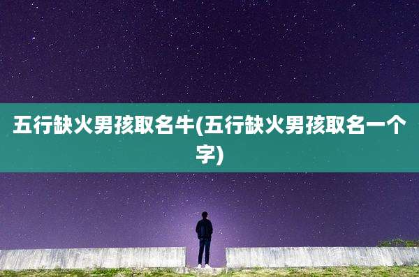 五行缺火男孩取名牛(五行缺火男孩取名一个字)