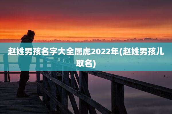 赵姓男孩名字大全属虎2022年(赵姓男孩儿取名)