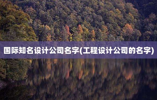 国际知名设计公司名字(工程设计公司的名字)
