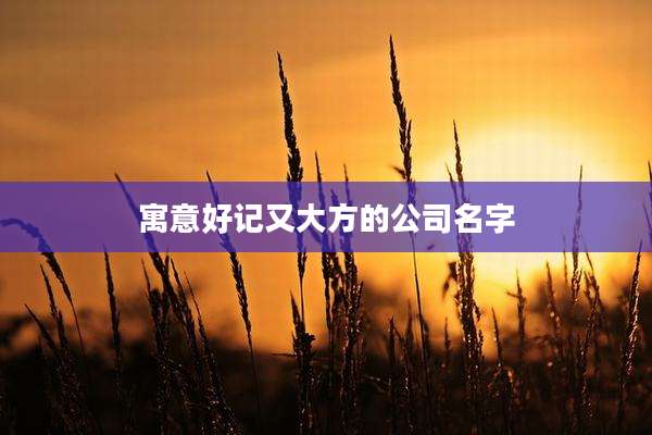 寓意好记又大方的公司名字