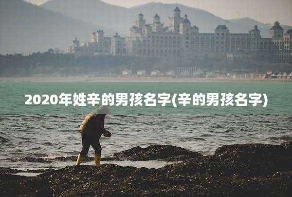 2020年姓辛的男孩名字(辛的男孩名字)