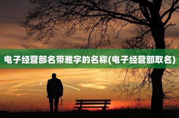 电子经营部名带雅字的名称(电子经营部取名)