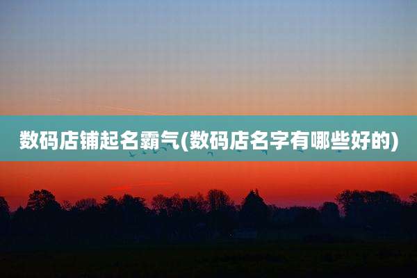 数码店铺起名霸气(数码店名字有哪些好的)
