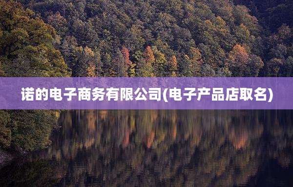 诺的电子商务有限公司(电子产品店取名)