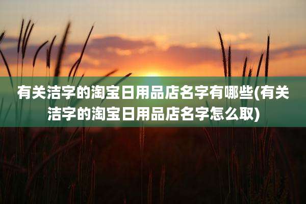 有关洁字的淘宝日用品店名字有哪些(有关洁字的淘宝日用品店名字怎么取)