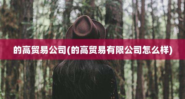 的高贸易公司(的高贸易有限公司怎么样)