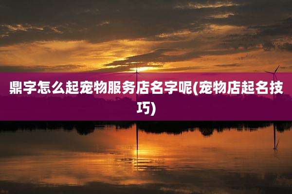 鼎字怎么起宠物服务店名字呢(宠物店起名技巧)