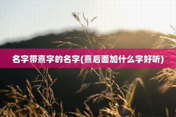 名字带熹字的名字(熹后面加什么字好听)