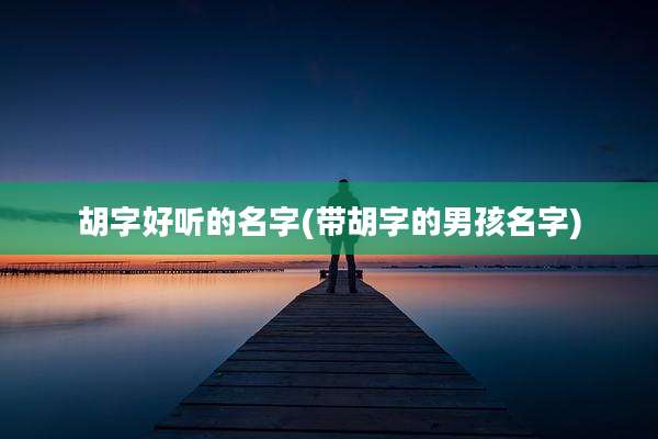 胡字好听的名字(带胡字的男孩名字)