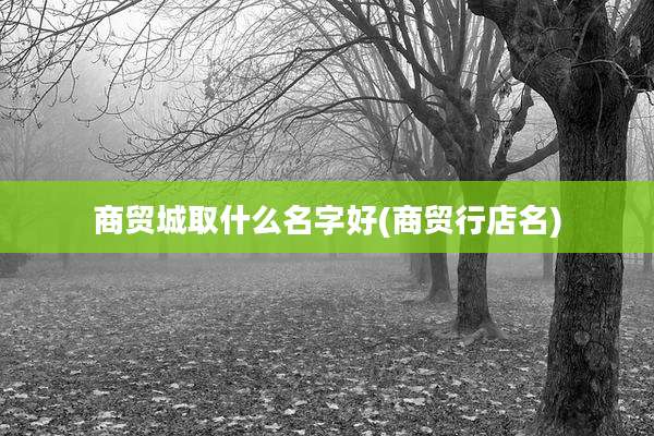 商贸城取什么名字好(商贸行店名)