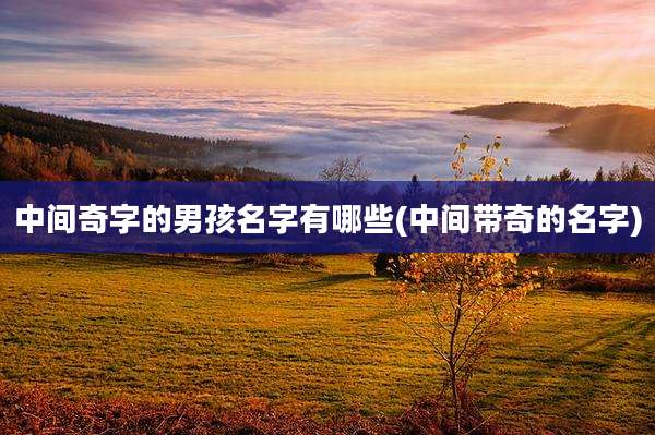 中间奇字的男孩名字有哪些(中间带奇的名字)