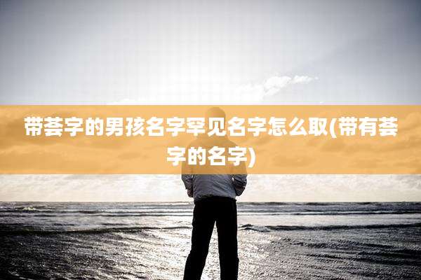 带荟字的男孩名字罕见名字怎么取(带有荟字的名字)