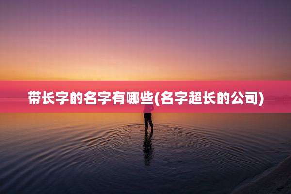 带长字的名字有哪些(名字超长的公司)